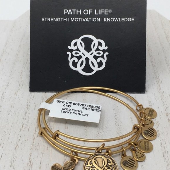 New 2 ALEX & ANI Gift Lucky Path Charm Gold Tone Bangle Bracelet - Picture 3 of 5